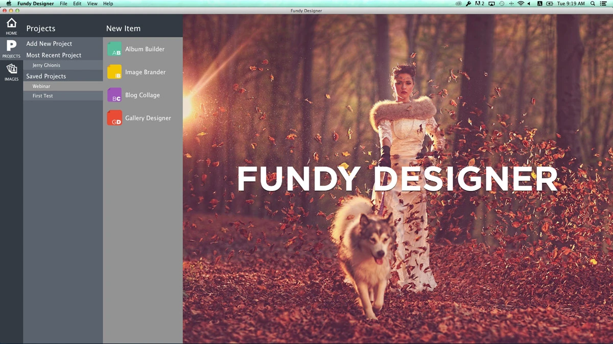 Fundy designer software UI