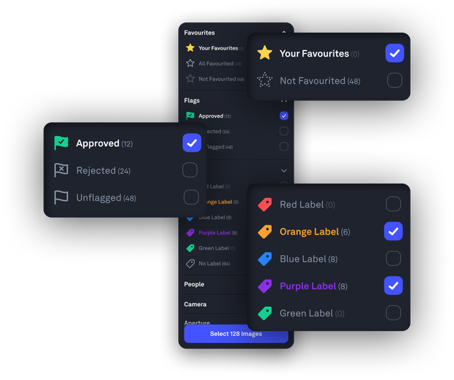 Picflow feedback options on the filter bar
