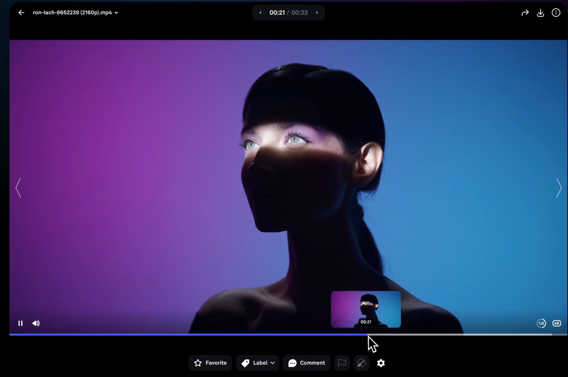 Best Video Sharing Platforms for Hosting and Sending Large Videos