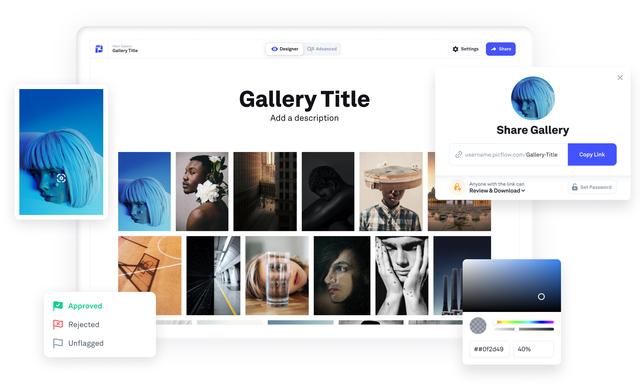 Online gallery with design and sharing controls